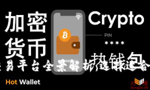 区块链币交易平台全景解析：选择适合自己的平台